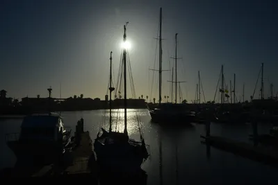 DSC_7230 (Large).JPG